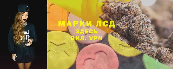 мдпв Горнозаводск