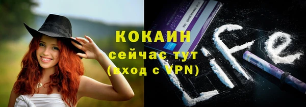 a pvp Горняк