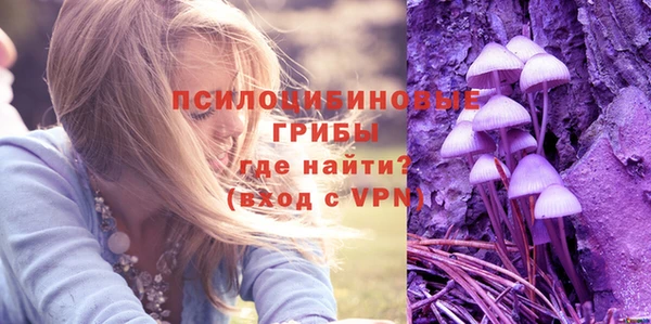 мет Горно-Алтайск