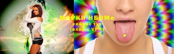 мдпв Горнозаводск