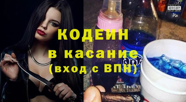 мдпв Горнозаводск