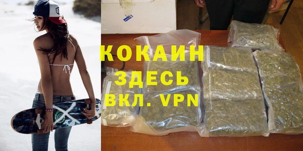 a pvp Горняк